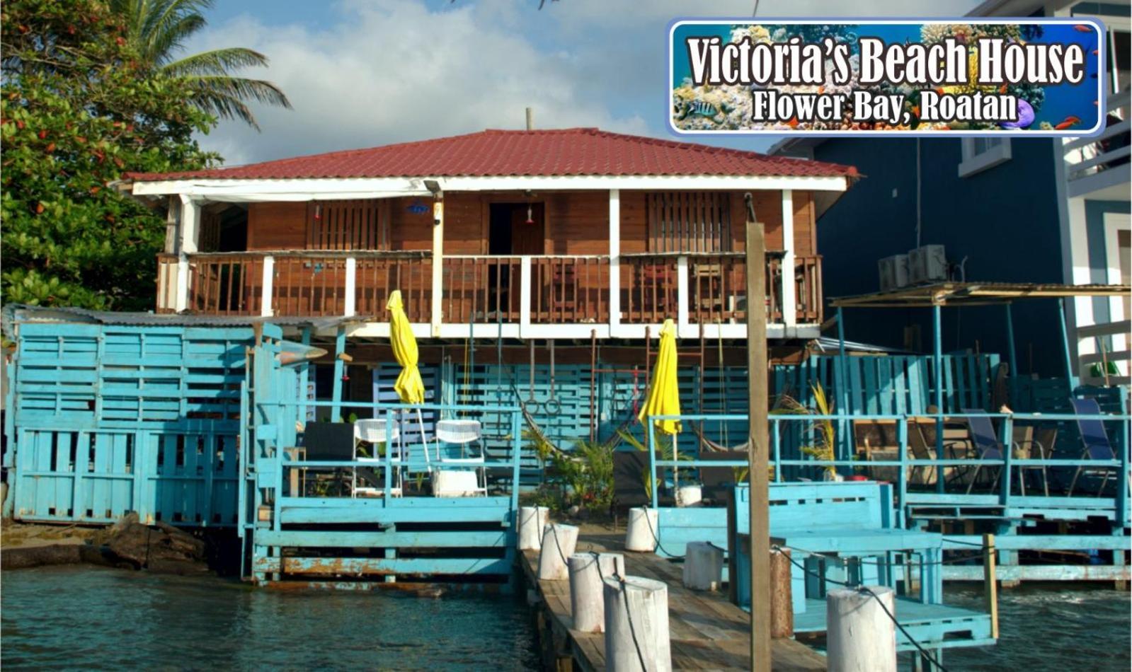 Victoria S Beach House And Snorkeling Center Flowers Bay Dış mekan fotoğraf